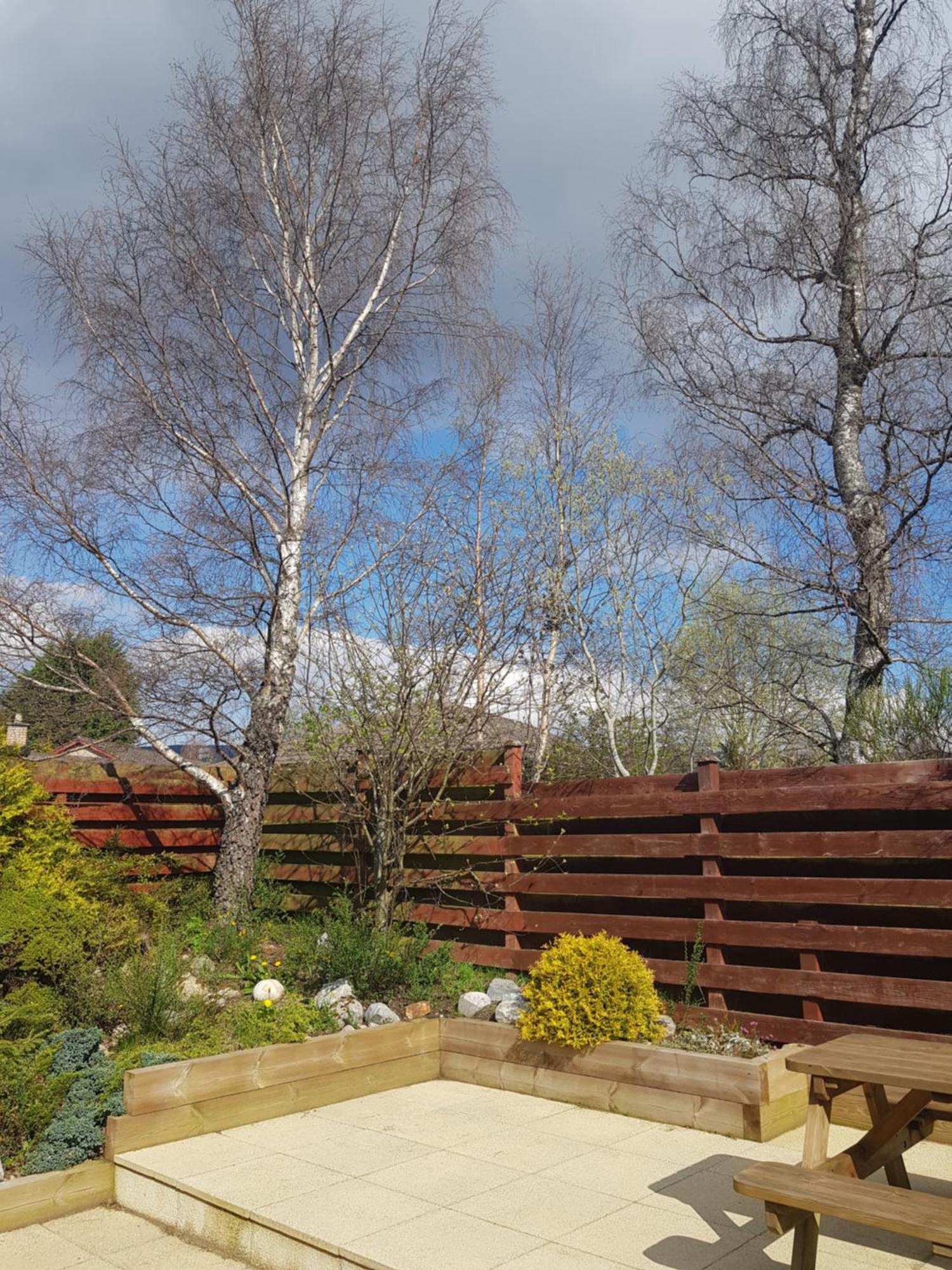 Orange Squirrel Lodge Aviemore Extérieur photo
